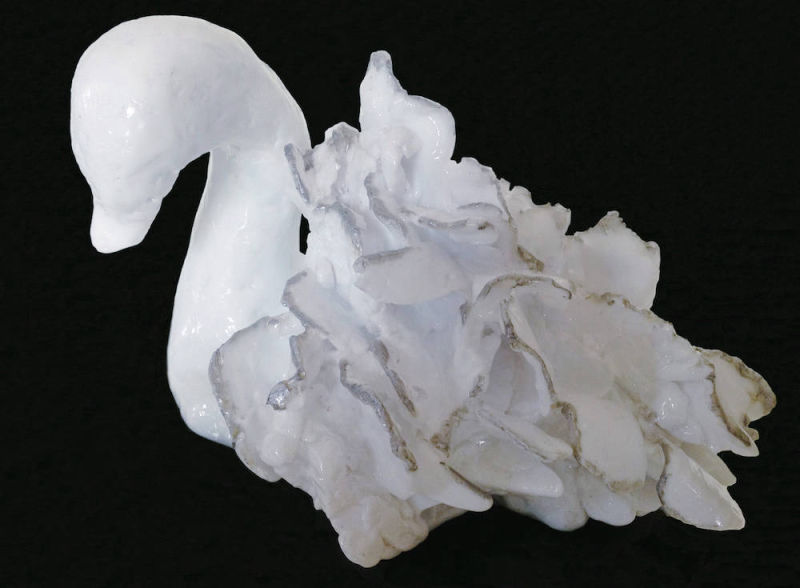 White Swan